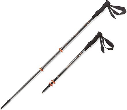 photo: REI Carbon Composite Power Lock Trekking Poles rigid trekking pole