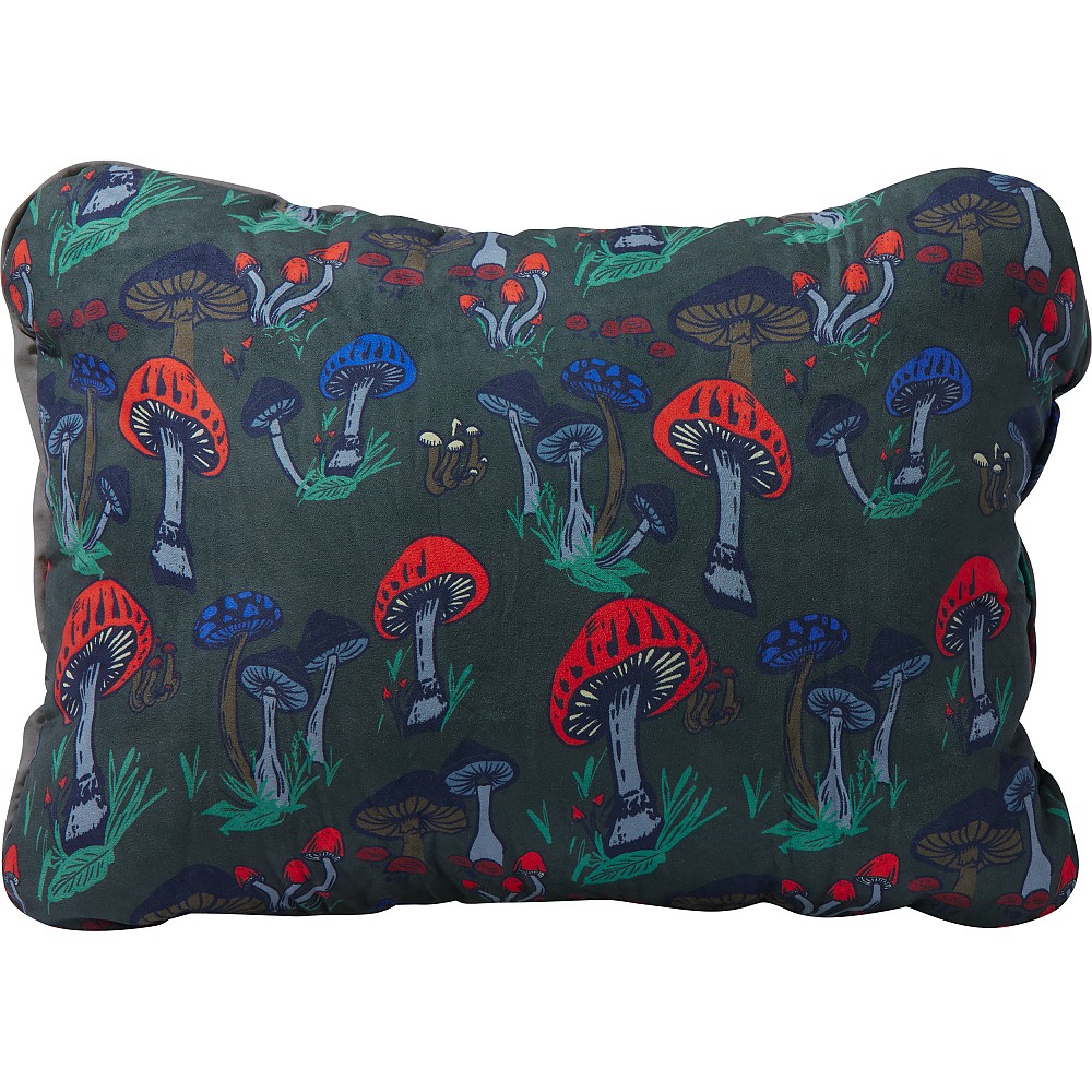 photo: Therm-a-Rest Compressible Pillow pillow