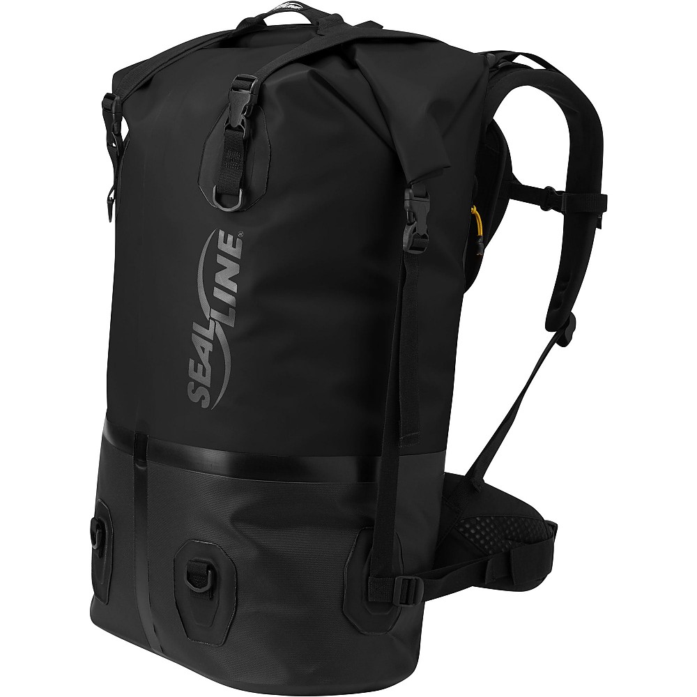 photo: SealLine Pro Dry Pack dry pack