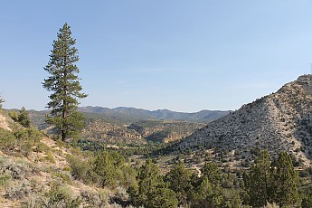 IMG_0060.jpg
