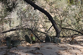 IMG_0059.jpg