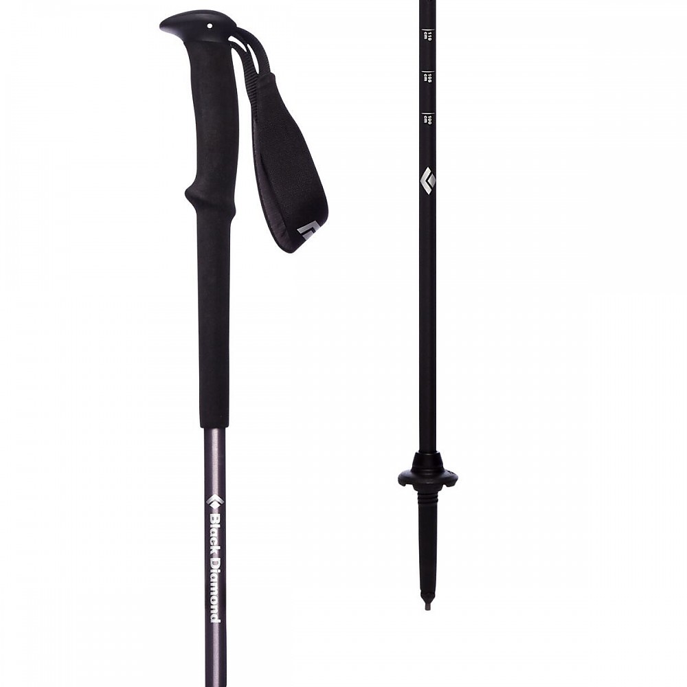 photo: Black Diamond Men's Trail rigid trekking pole