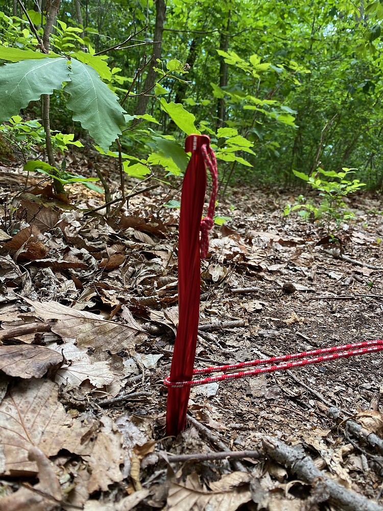 MSR Cyclone Tent Stakes Reviews Trailspace