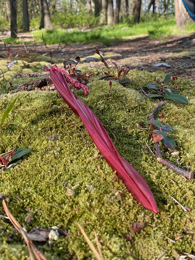 MSR Cyclone Tent Stakes Reviews Trailspace