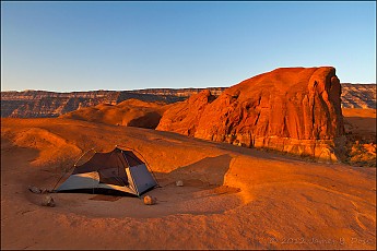 UTAH8981_crop.jpg