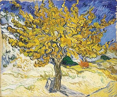 Art-08-Mulberry-Tree-Van-Gogh.jpg