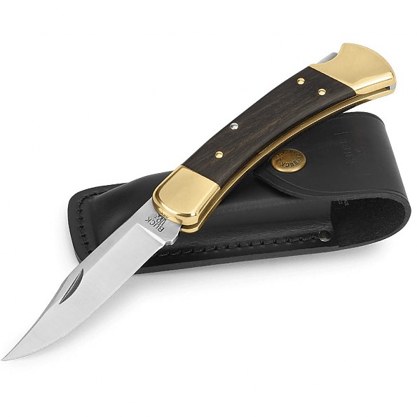 Buck 110 Folding Hunter