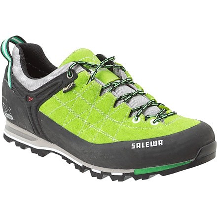 Salewa Mountain Trainer GTX