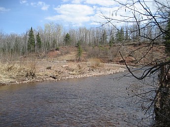 29410.jpg