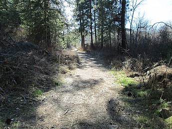 IMG_0307.jpg