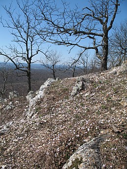 eagle-rock-loop-2-3-2-2-4-028.jpg