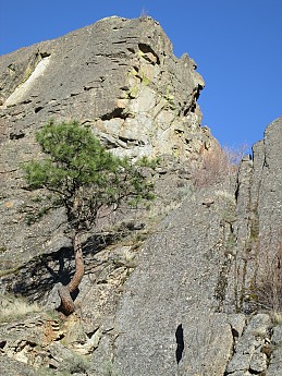 IMG_0312.jpg