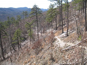 eagle-rock-loop-2-3-2-2-4-030.jpg