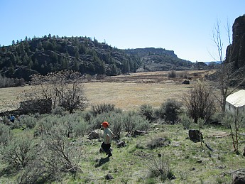 IMG_0262.jpg