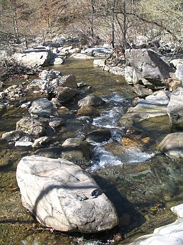 eagle-rock-loop-2-3-2-2-4-034.jpg