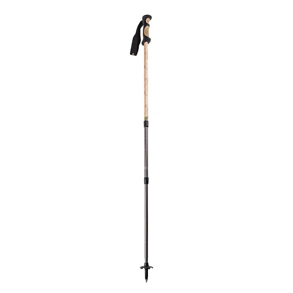 photo: Mountainsmith Pinnacle antishock trekking pole