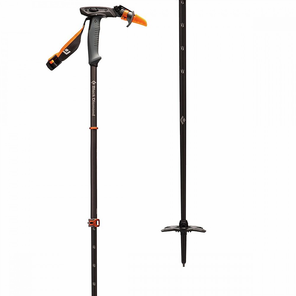 photo: Black Diamond Whippet alpine touring/telemark pole