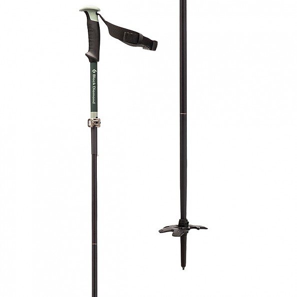 photo of a alpine touring/telemark pole