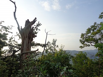 DSC02139.jpg