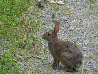 DSC02157.jpg