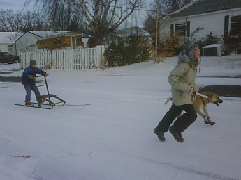 IMG01143-20101123-0751.jpg