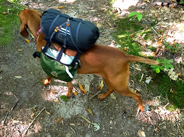 Ruffwear Highlands Sleeping Bag Reviews Trailspace