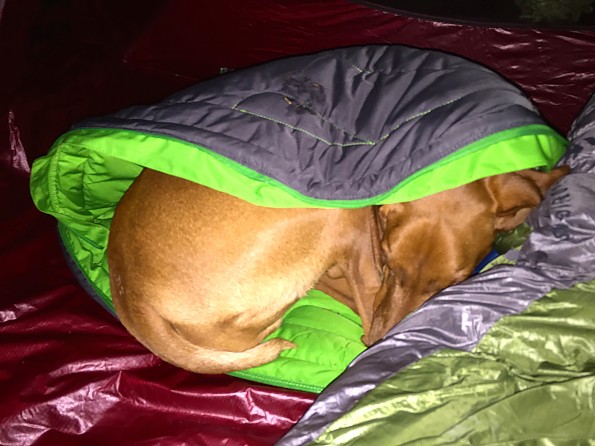 Avalanche dog sleeping discount bag