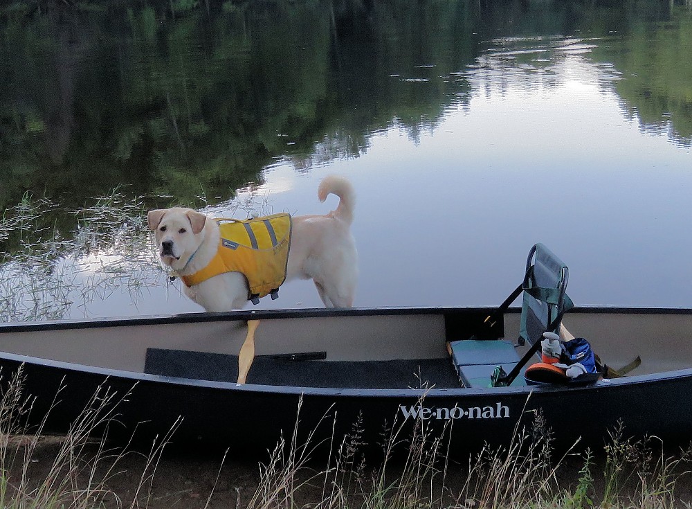 photo: L.L.Bean Sit Backer Canoe Seat paddling accessory