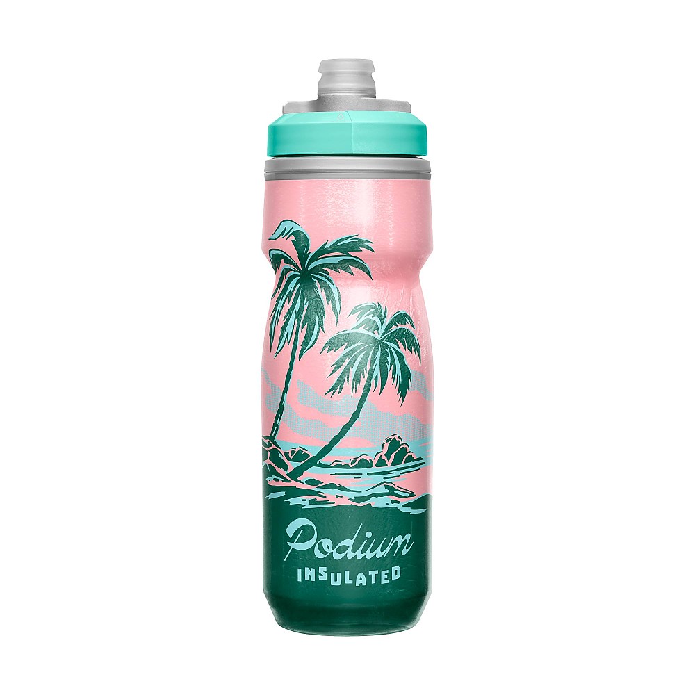 photo: CamelBak Podium Chill water bottle
