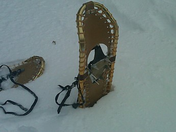 snowshoes-1.jpg