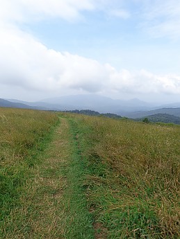 DSC02245.jpg