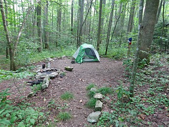 DSC02266.jpg