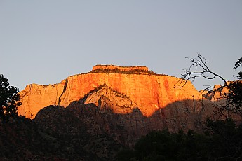 IMG_7349.jpg