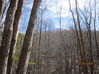 IMG_3068.jpg