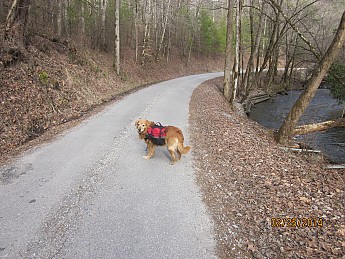 IMG_3080.jpg