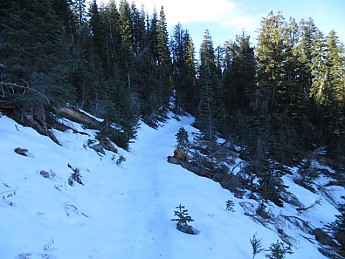 Nelson-Creek-11-9-2013-003_opt.jpg
