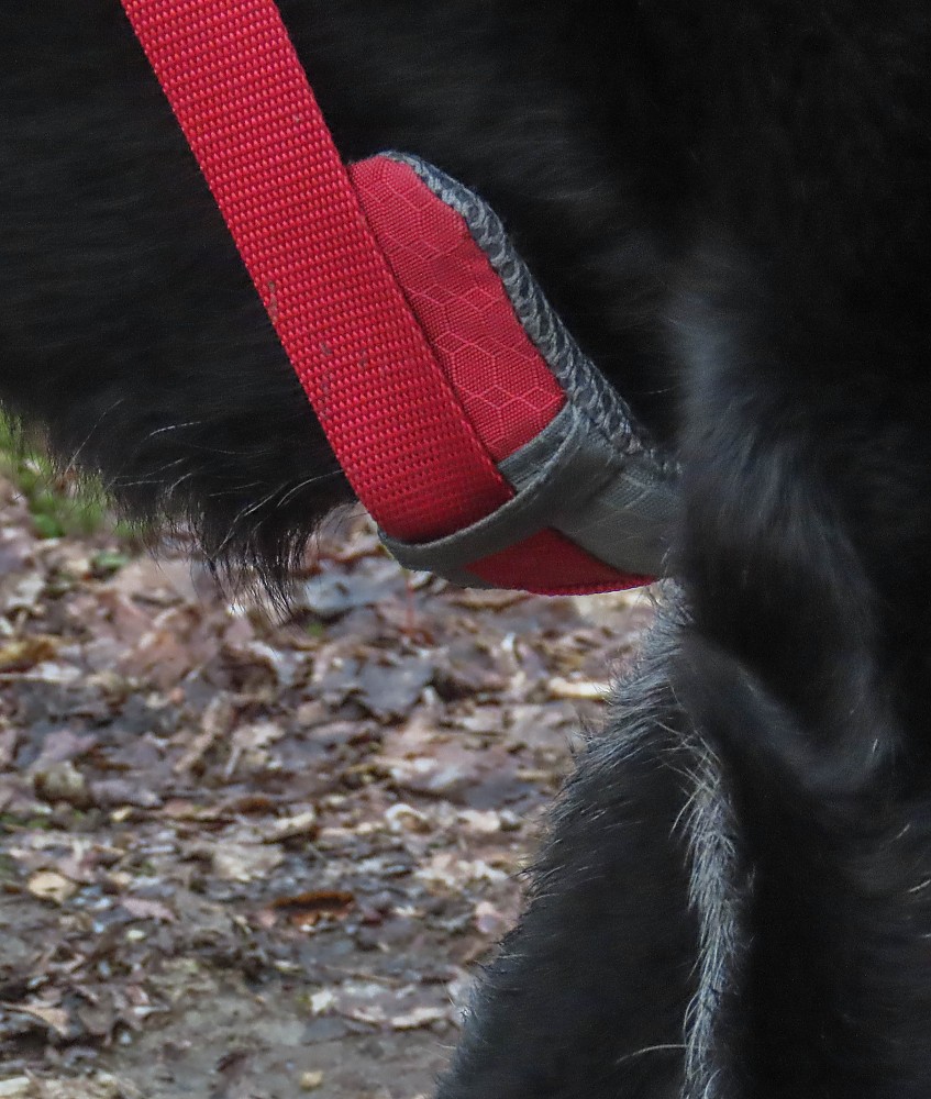 Kurgo Journey Air Harness Reviews Trailspace