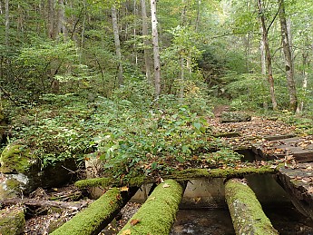 P9250023.jpg