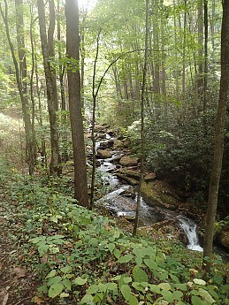 P9250037.jpg
