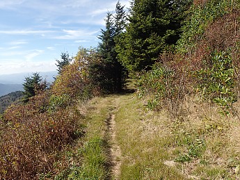 P9250126.jpg