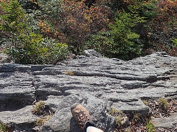 P9250173.jpg