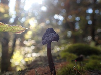 P9250193.jpg