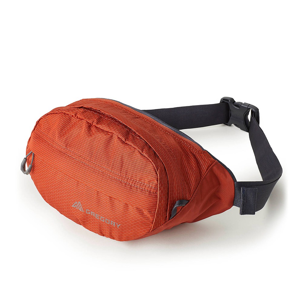 Gregory Nano Waistpack Reviews Trailspace