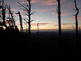 P9250229.jpg