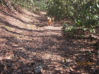 IMG_3104.jpg
