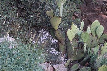 IMG_7380.jpg
