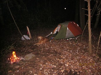 IMG_3092.jpg