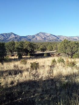 IMG_20140311_082204.jpg