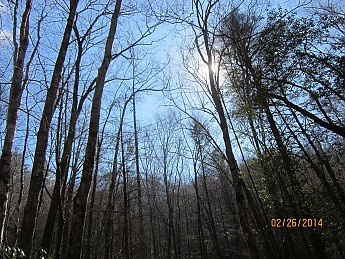 IMG_3111.jpg