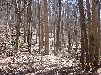 IMG_3127.jpg